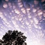 8-Mammatus-Clouds-10