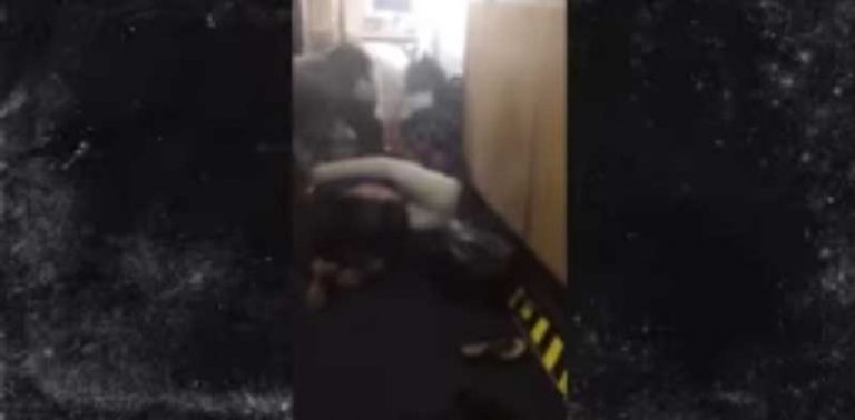 Pukul Penumpang Wanita, Pilot Ini Langsung Kena Skorsing Seminggu