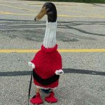 HT_emotional_support_duck_06_as_161018_4x3_992