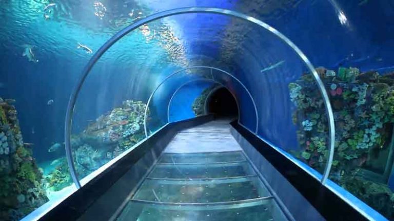 Akuarium Virtual Pemindai Wajah Sapa Calon Penumpang di Bandara Dubai