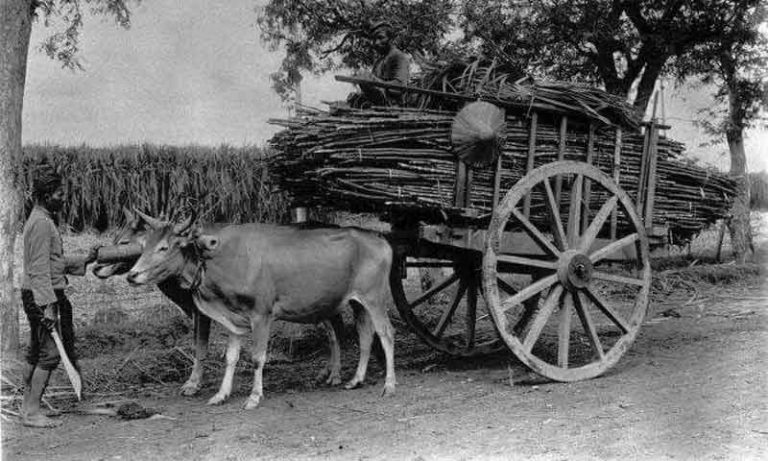 Bajingan, Terdengar Kasar Padahal Aslinya…