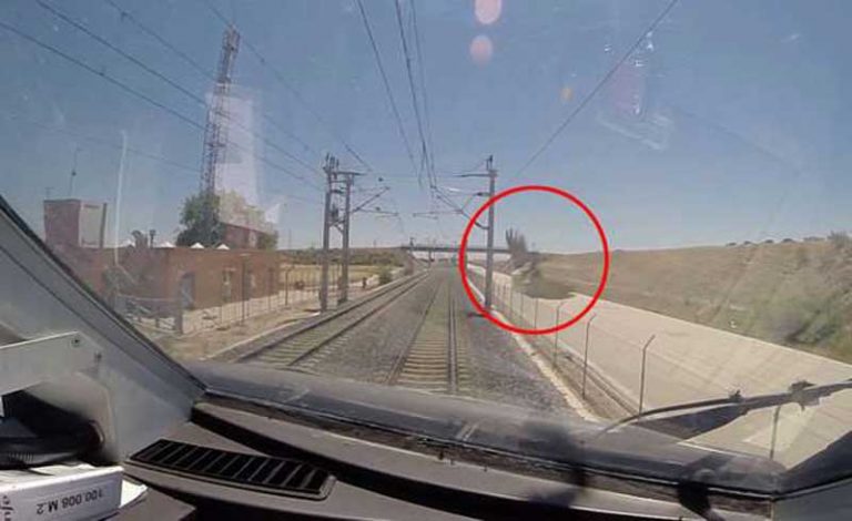 Fenomena Kereta Tabrak Burung Jadi Dampak Ekologi Kehadiran Bullet Train?