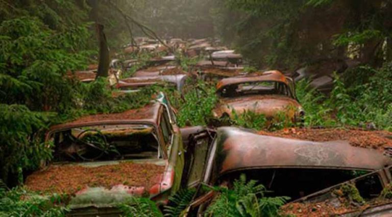 ‘Macet Puluhan Tahun’, Mobil-Mobil di Chatillon Belgia ini Bertransformasi Jadi Spot Angker!