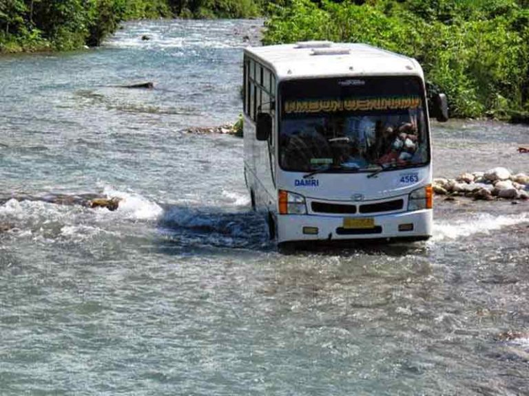 Bus Damri Angkutan Perintis, “Penyambung Lidah” Transportasi di Wilayah Terisolir Nusantara