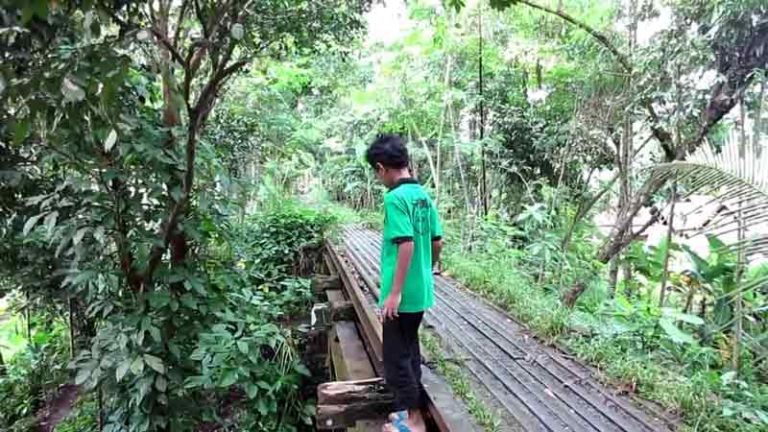 Jalur Kereta Rangkasbitung-Saketi-Labuan Kembali Direaktivasi