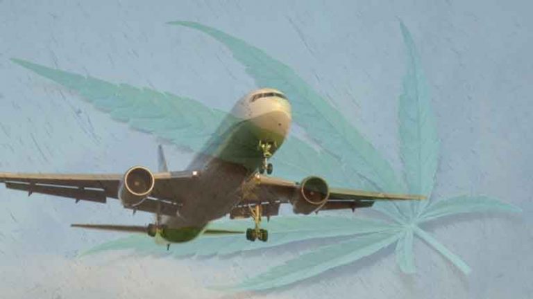 Ganja Legal di California, Tapi Tak Bisa Dibawa Melalui Bandara