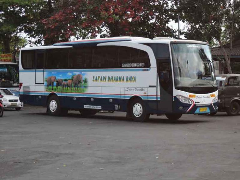 Mengenal PO Safari Dharma Raya, “Si Gajah dari Temanggung”