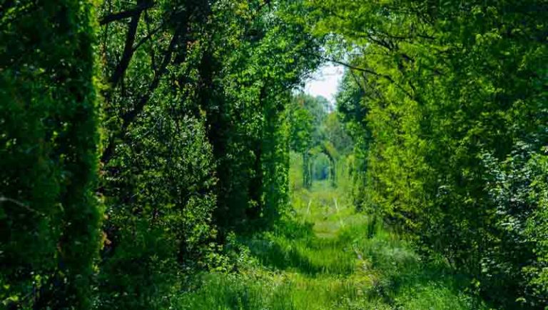 “Tunnel Of Love” Rumania, Harta Karun Tersembunyi di Eropa