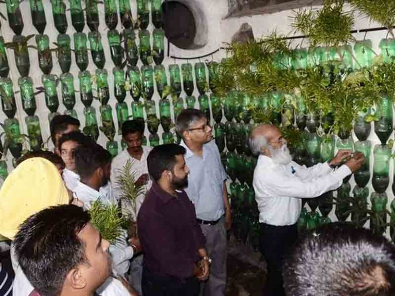 Tanaman Vertikal di Botol Plastik Bekas, Percantik Stasiun Ludhiana
