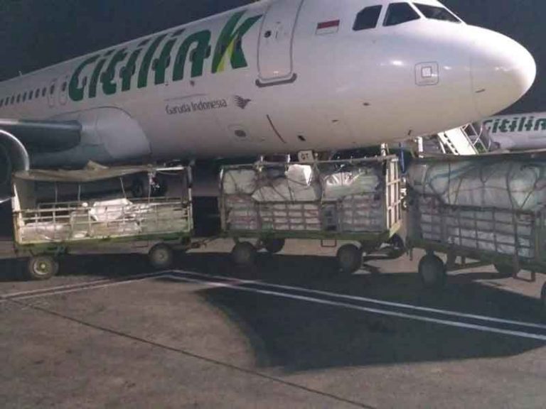 Citilink dan Kalbe Farma Kampanyekan #terbangsehat Pada Penumpang