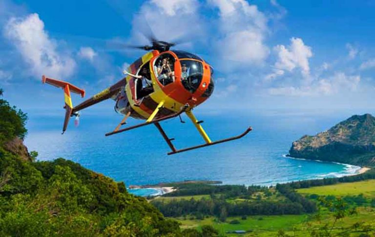 Tiba-Tiba Pilot Pingsan, Untungnya Penumpang Wanita Ini Berhasil Daratkan Helikopter