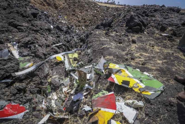Isu Semakin Liar, Boeing Tampik Ethiopian Airlines Jatuh Karena Seekor Burung