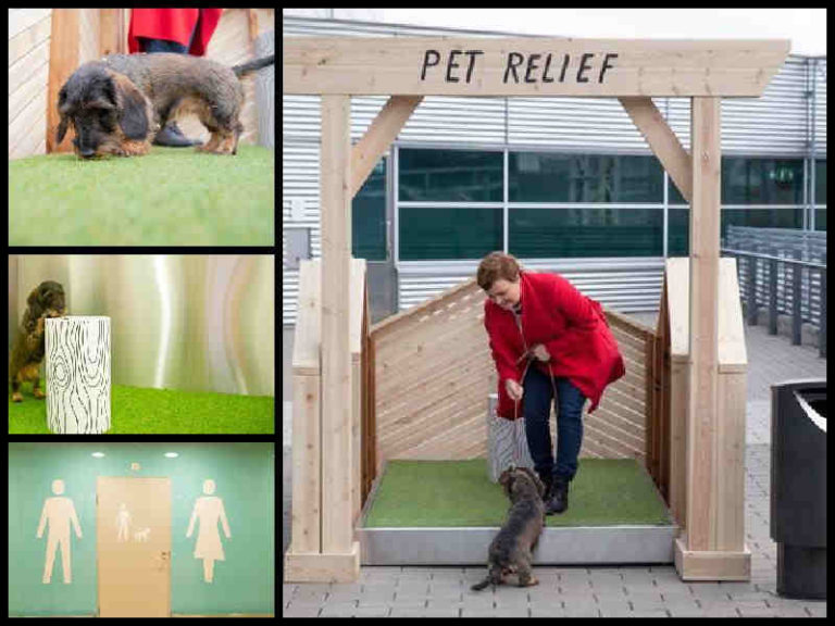 Bandara Helsinki Hadirkan Toilet Khusus Hewan Peliharaan Penumpang
