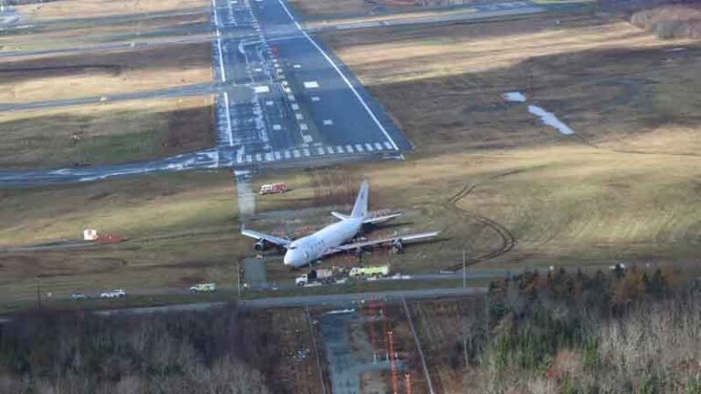 Mengapa Area Sekitar Runway Ditanami Rumput? Inilah Jawabannya