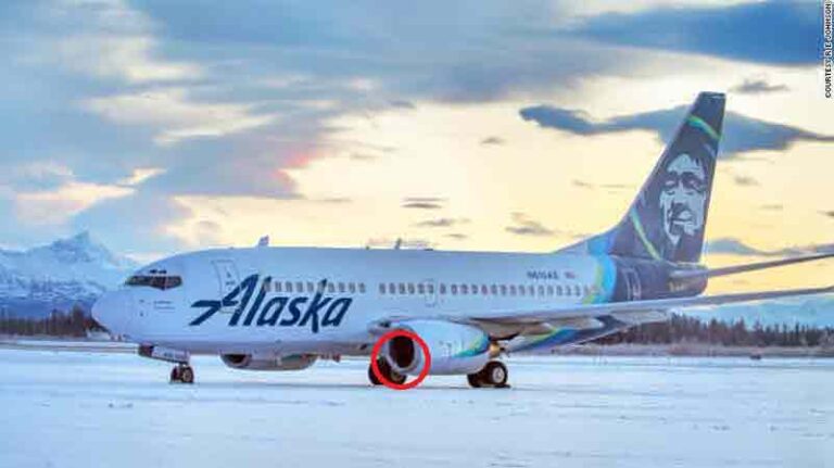 Buggh, Boeing 737 Alaska Airlines Tabrak Beruang! Sebelumnya Malah Pernah Tabrak Ikan Saat di Udara
