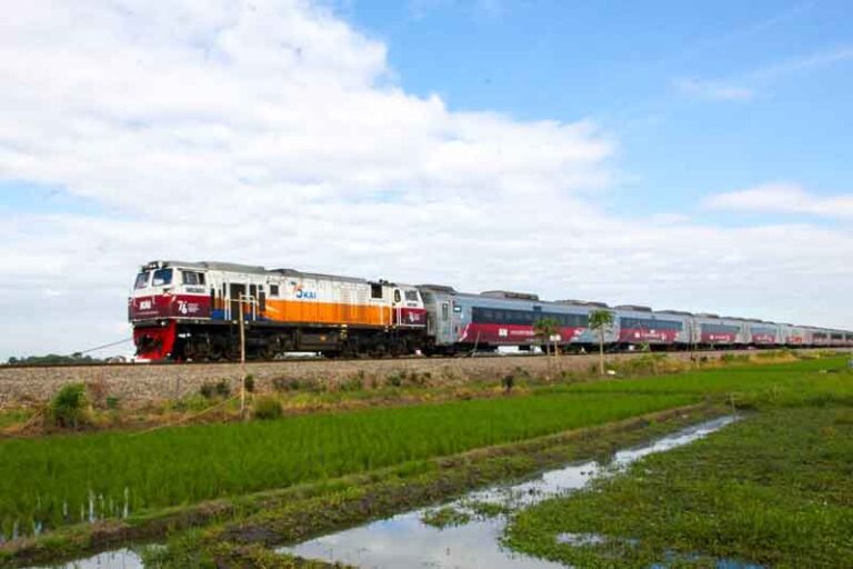 Kabar Gembira! Ini Daftar PSO (Subsidi) Kereta Api Ekonomi dan Perintis Tahun 2022