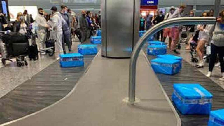Penumpang Bingung, Koper di Conveyor Belt Bandara Heathrow Berubah Jadi Box Ikan Beku
