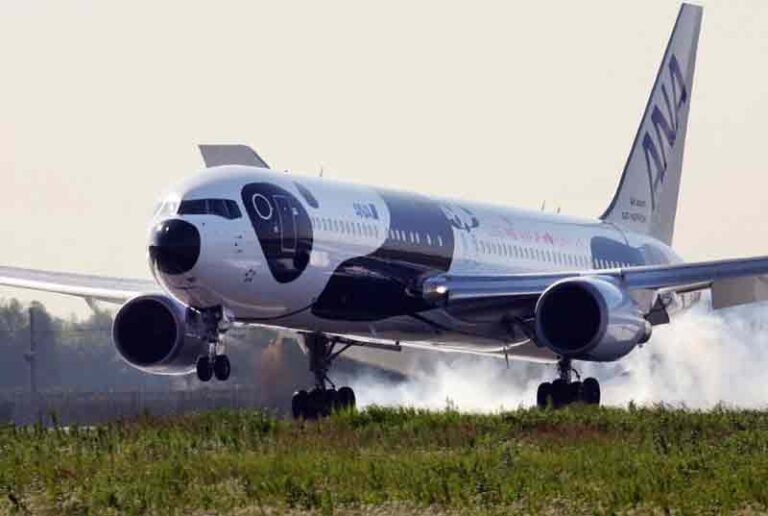 Ada Apa dengan Boeing 767 ANA Livery Fly! Panda, Simbol Hubungan Jepang-Cina?