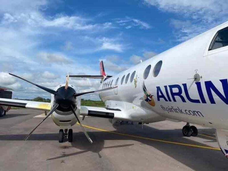 Dihantam Bird Strike, Baling-baling, Fuselage, dan Jendela Pesawat Airlink Hancur