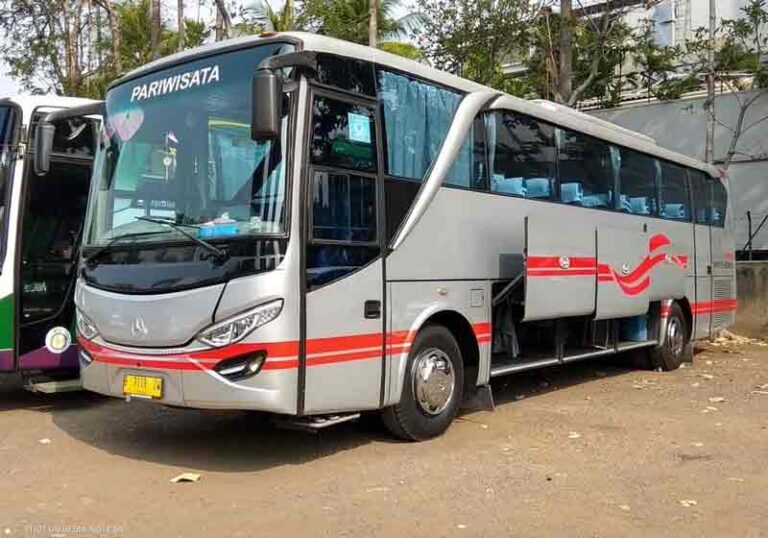 Sasis Mercedes Benz OH 1521, Si Tua-Tua Keladi