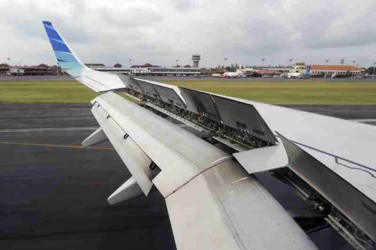 Tahukah Anda, Kelenturan Sayap adalah Kunci dalam Menghadapi Turbulensi di Udara