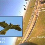 a-camera-view-of-a-flock-of-birds-inset-photo-shows-a-robotic-falcon-with-a-camera-on-its-head