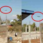 video_nepal.jpg_172596871