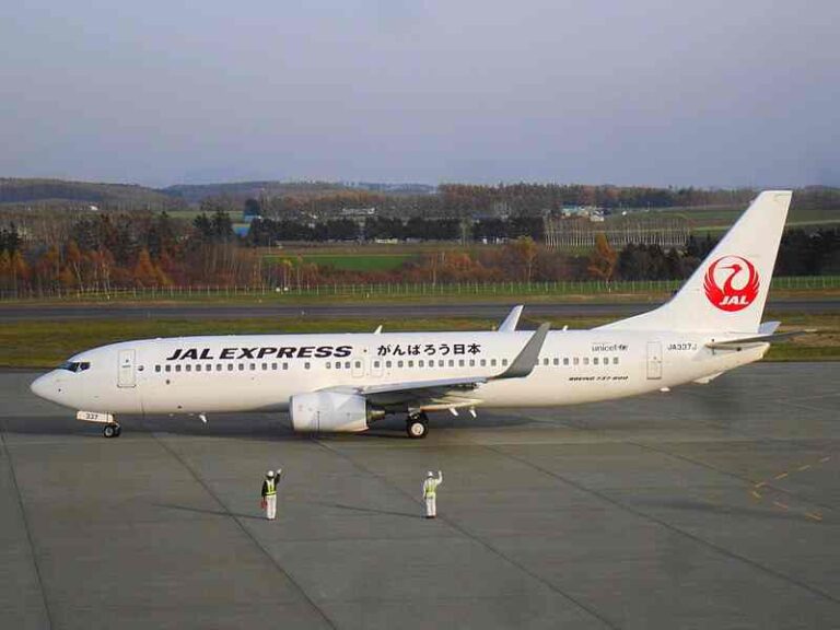 Khawatir Kelebihan Beban, Japan Airlines Terpaksa Tambah Flight untuk Terbangkan Rombongan Pesumo
