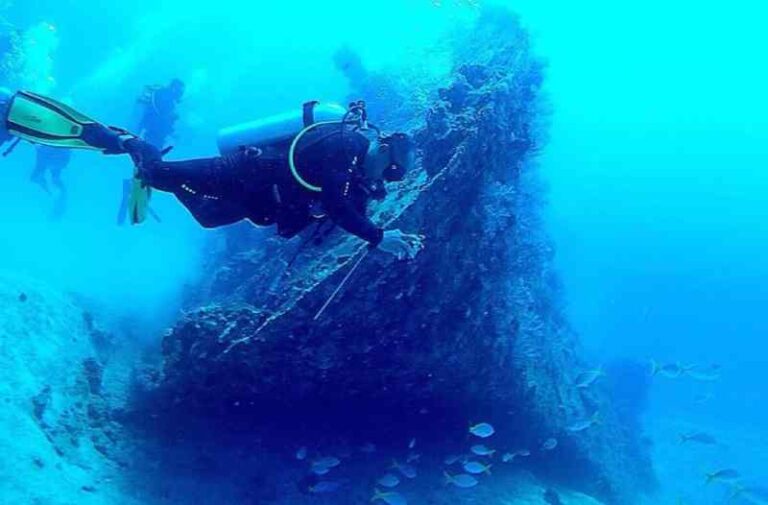 Papatheo, Eks Kapal Kargo yang Kini Jadi ‘Hunian’ Biota Laut Cantik di Kepulauan Seribu