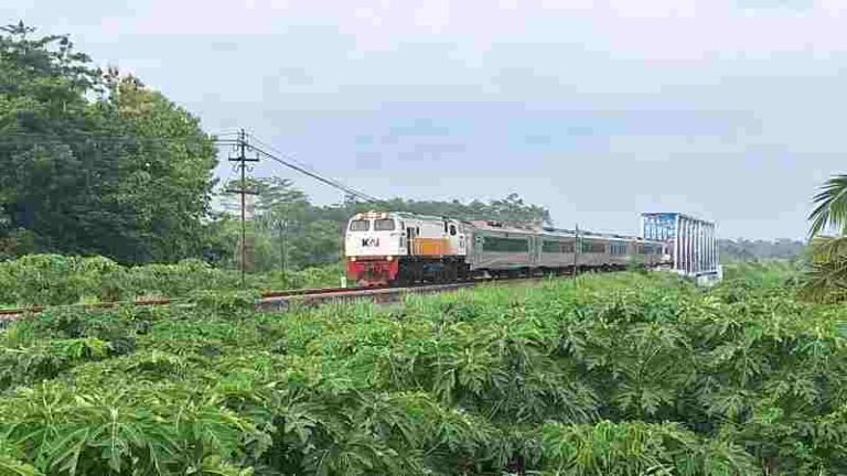 Lihat Kereta Api Sambil Kulineran di Yogyakarta? Ini Dia Lokasi Pilihannya yang Paling Asyik