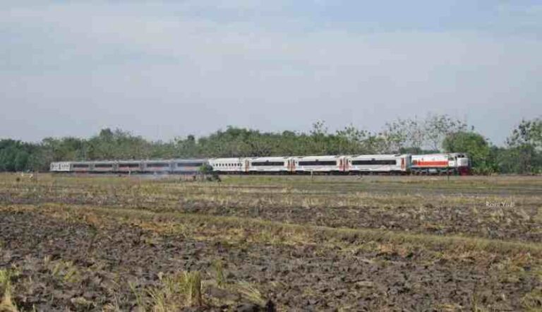 Dua Nama Kereta Api Sebenarnya Berstatus ‘Fakultatif’, Namun Tetap Berjalan Setiap Hari, Apa Saja?