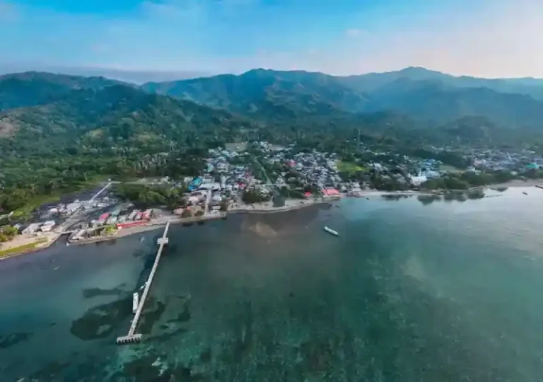 “Pelabuhan Hijau”, Kurangi Emisi Melalui Mangrove “Pelabuhan Hijau”, Kurangi Emisi Melalui Mangrove