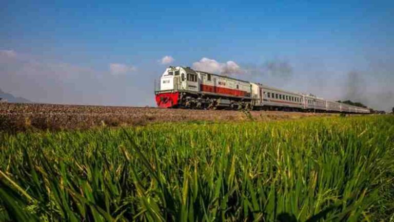 KAI Akan Terapkan Lokomotif Berbahan Bakar Nabati dari Kelapa Sawit Mulai Juli 2026