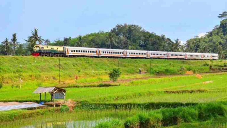 Bukan Hanya Gunung dan Sungai, Inilah Daftar Kereta Api Indonesia yang Menggunakan Nama Tumbuhan